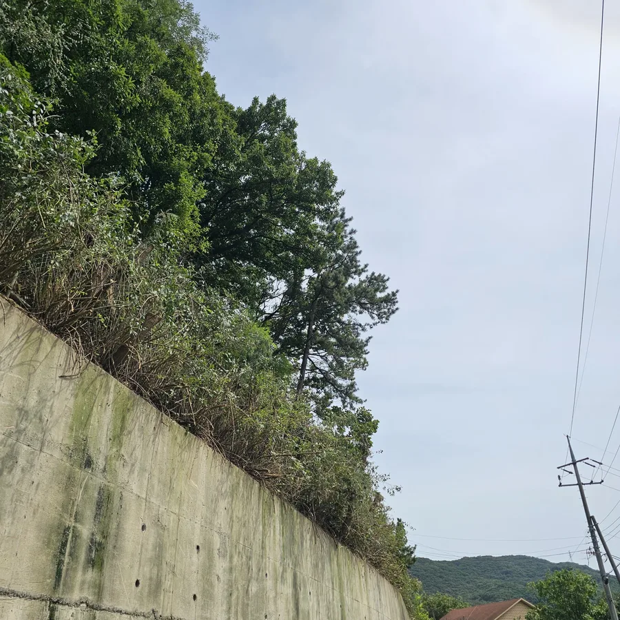 같은 유형의 옹벽을 멀리서 찍은 사진, 다듬어진 둥근 수관의 나무와 주택 지붕이 보이고 하늘에 무지개 흔적이 있음.