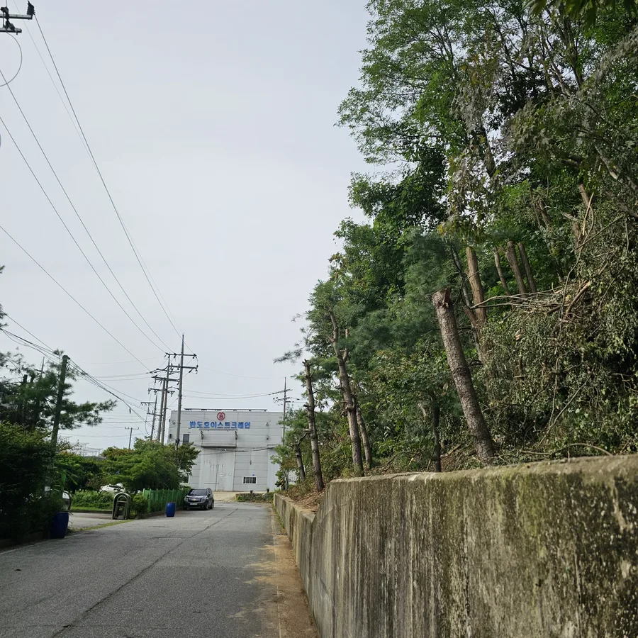 도로와 흰색 창고건물이 보이는 구간에서 나무들이 밑동만 남기고 잘려 있고 멀리 승용차 한 대가 보임.