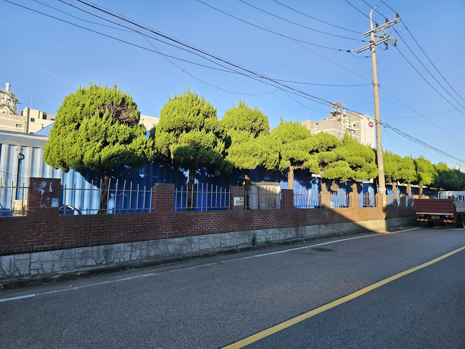 도로변 벽돌 담장을 따라 둥근 모양으로 다듬어진 나무들이 줄지어 서 있음. 오른쪽에 트럭 일부가 보임.