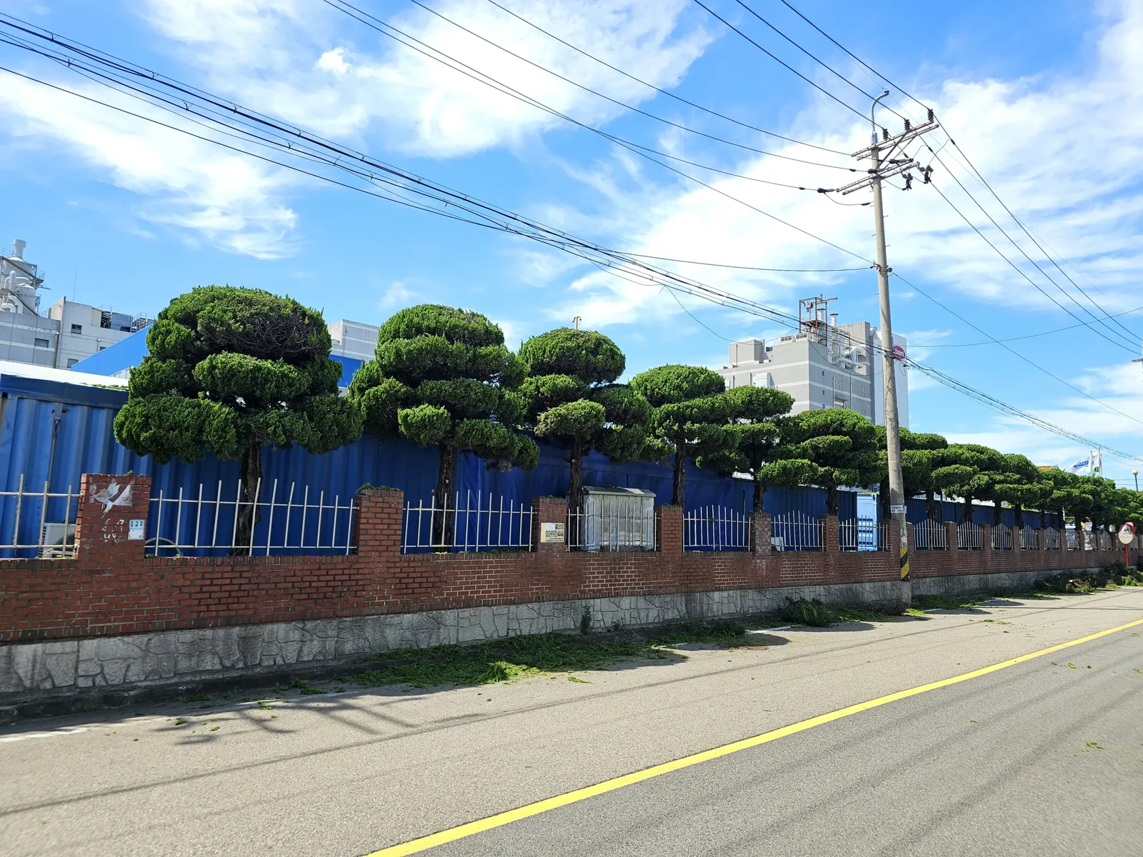 같은 담장을 따라 둥글게 다듬어진 나무들이 늘어선 모습. 구름 낀 하늘, 다른 시간대에 촬영된 것으로 보임.